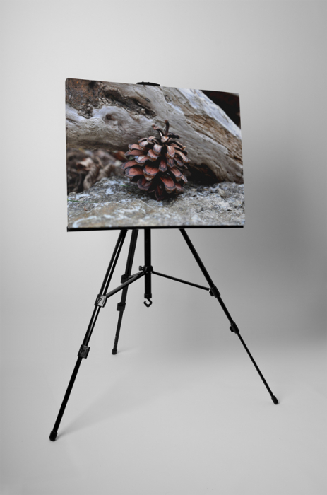 Tablou canvas : Conul singuratic [3]