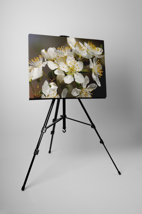 Tablou canvas : Primavara [3]
