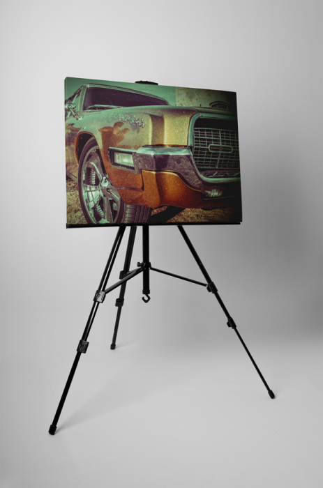 Tablou canvas : Masina puternica [3]