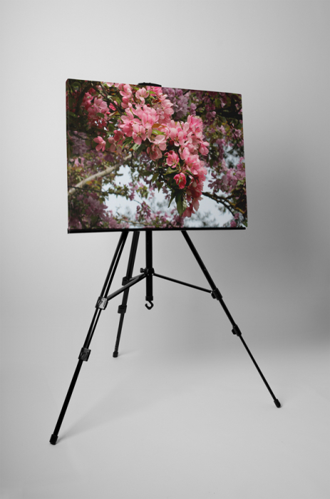 Tablou canvas : Natura inflorita [3]