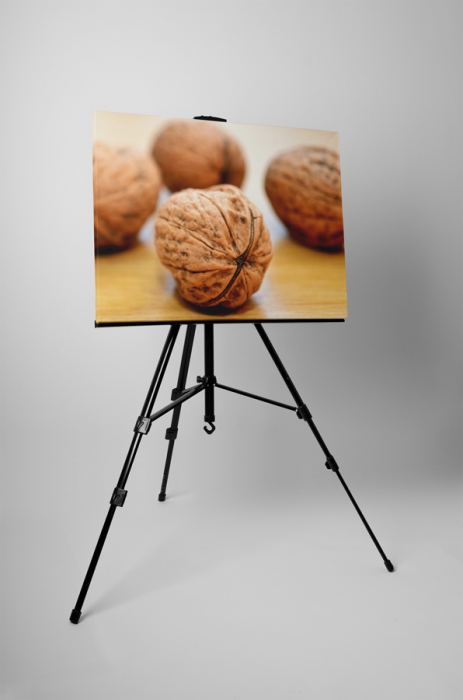 Tablou canvas : Patru nuci [3]