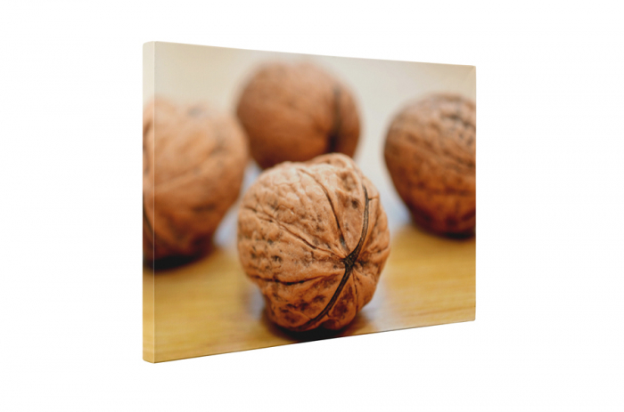 Tablou canvas : Patru nuci [5]