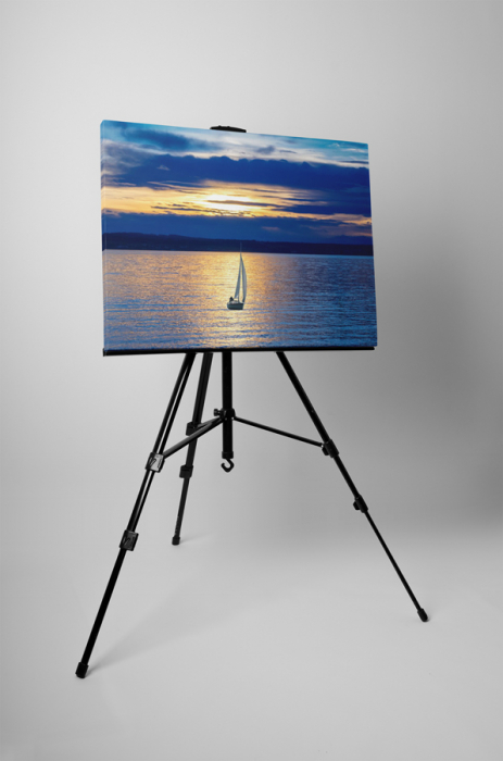 Tablou canvas : Plimbare pe apa [3]