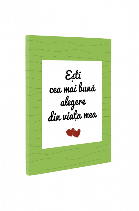 Tablou canvas : Cea mai buna alegere [2]