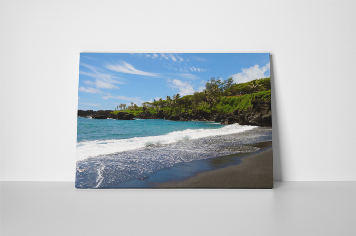 Tablou canvas : Plaja tropicala [2]