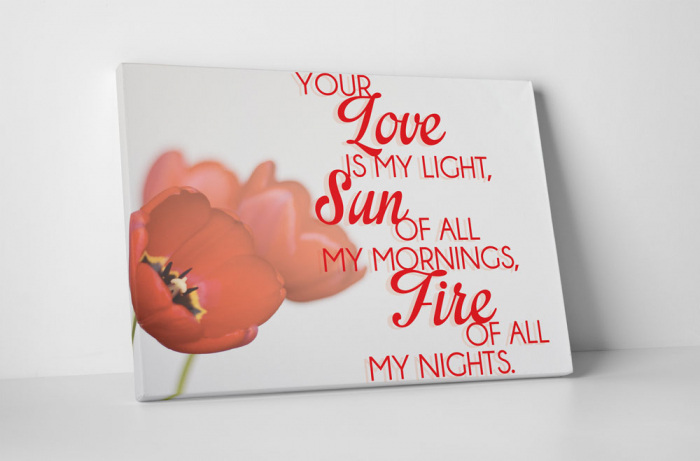 Tablou canvas : Your Love is My Light [1]