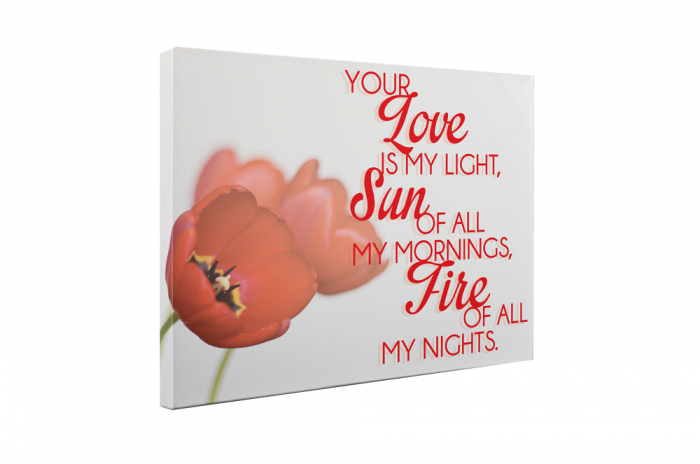 Tablou canvas : Your Love is My Light [5]