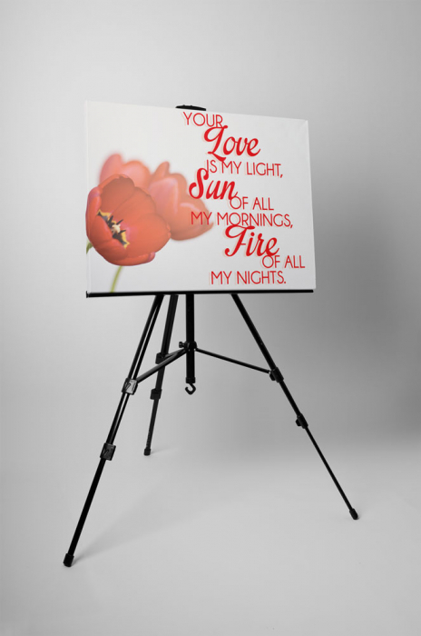 Tablou canvas : Your Love is My Light [3]
