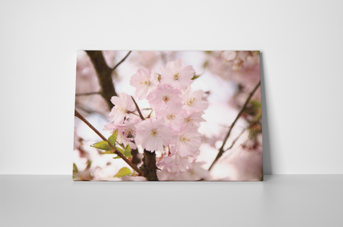 Tablou canvas : Piersic inflorit [2]
