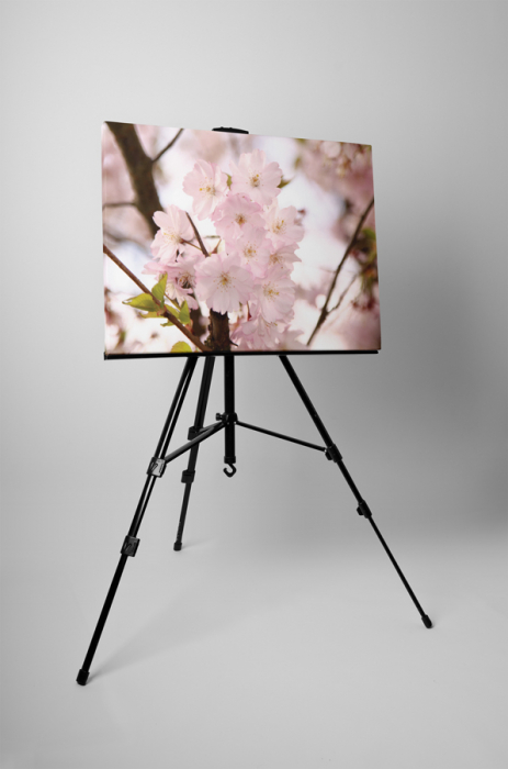 Tablou canvas : Piersic inflorit [3]