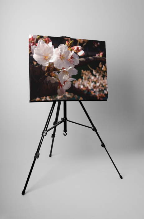 Tablou canvas : Cires inflorit [3]