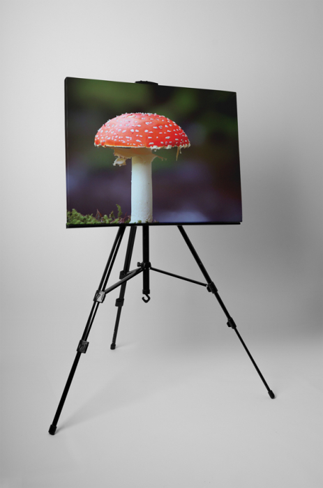 Tablou canvas : Buretele mustelor [3]