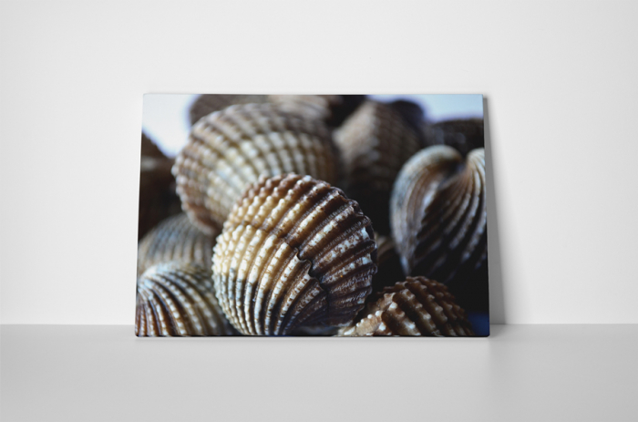 Tablou canvas : Scoici [2]