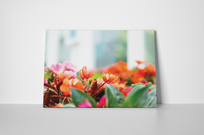 Tablou canvas : Floricele colorate [2]