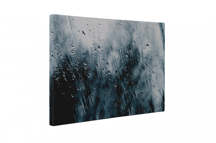 Tablou canvas : Vreme ploioasa [5]