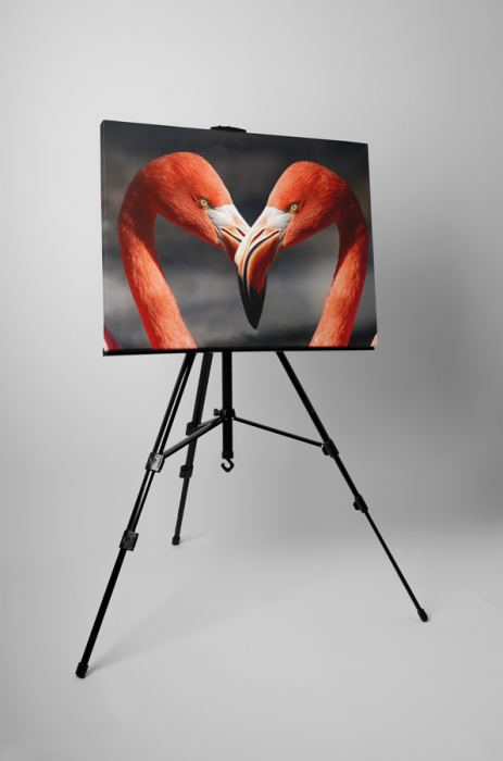 Tablou canvas : Pasari flamingo [3]