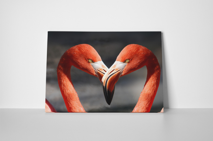 Tablou canvas : Pasari flamingo [2]