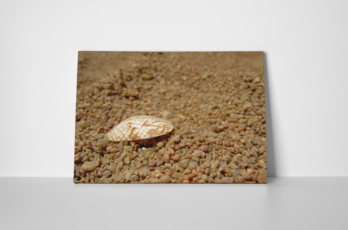 Tablou canvas : Scoica si pietris [2]