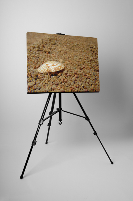 Tablou canvas : Scoica si pietris [3]