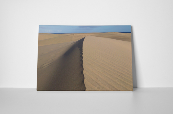 Tablou canvas : Dune de nisip [2]