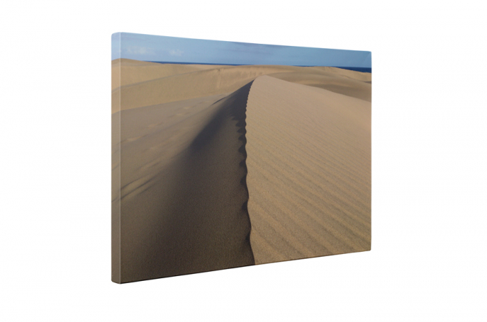 Tablou canvas : Dune de nisip [5]