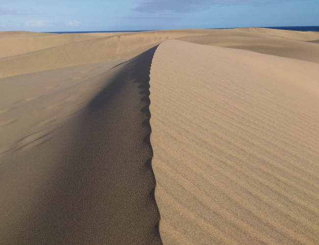 Tablou canvas : Dune de nisip [4]