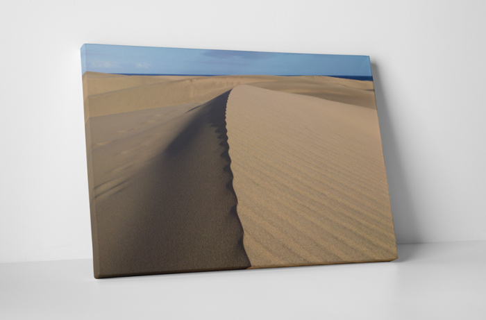 Tablou canvas : Dune de nisip [1]
