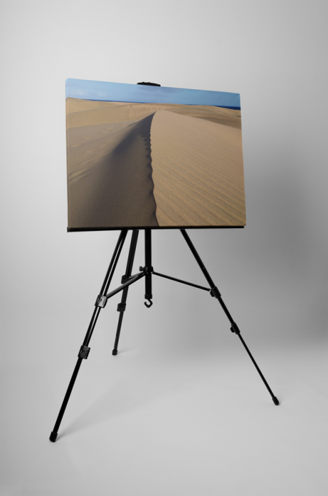 Tablou canvas : Dune de nisip [3]