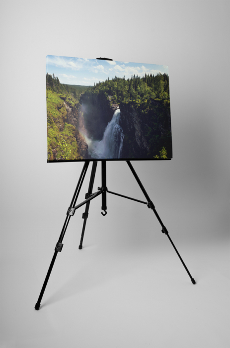 Tablou canvas : Cascada [3]
