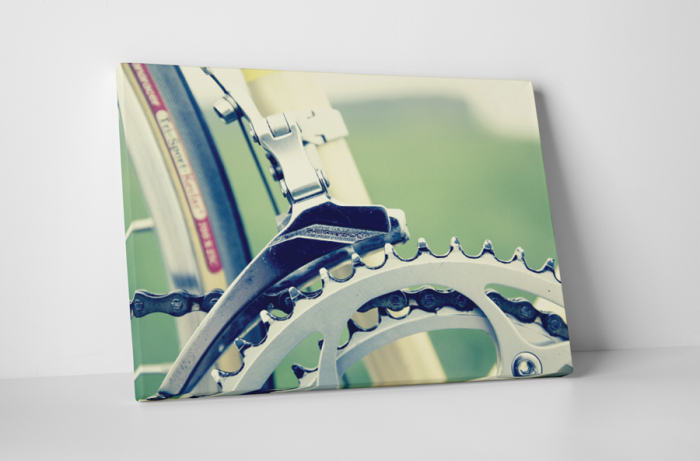 Tablou canvas : Sina lant bicicleta [1]
