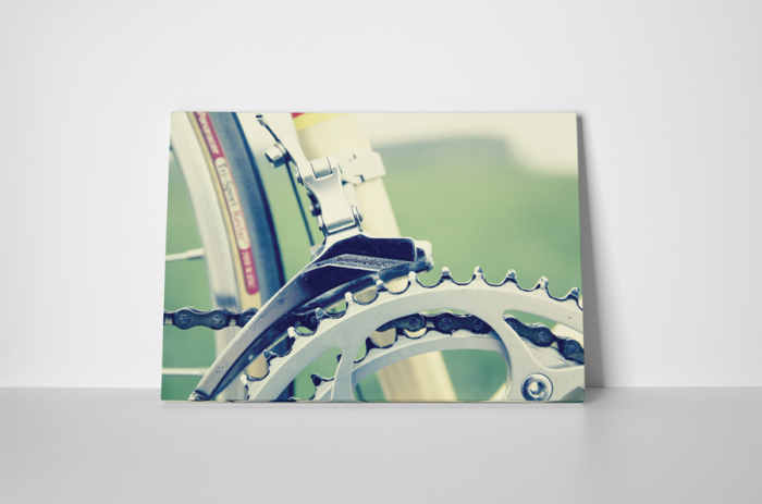 Tablou canvas : Sina lant bicicleta [2]