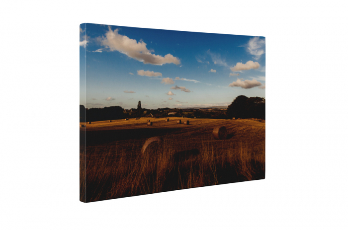 Tablou canvas : Stog de fan [5]