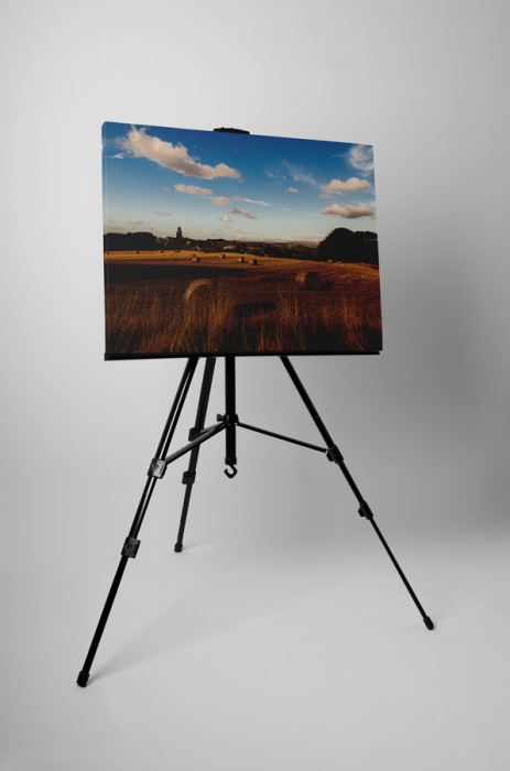 Tablou canvas : Stog de fan [3]