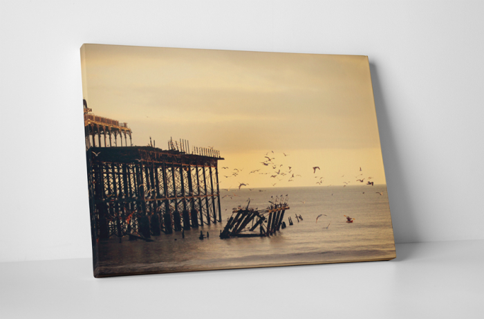 Tablou canvas : Pasari [1]
