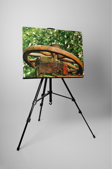 Tablou canvas : Roata de lemn [3]