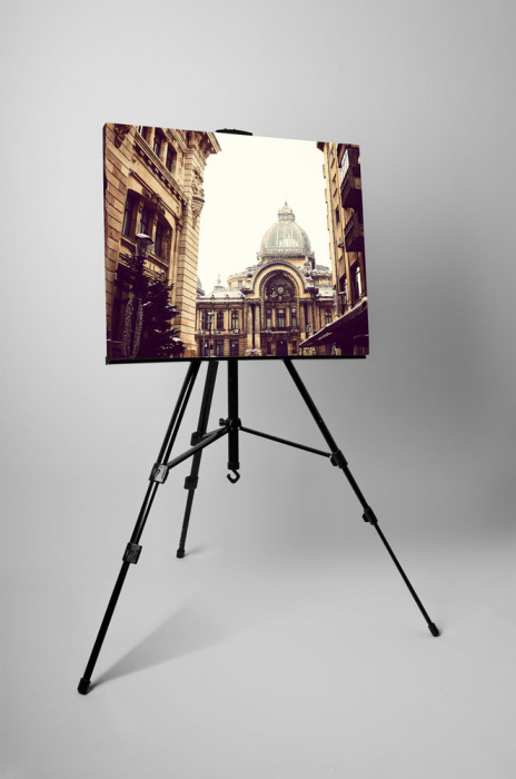 Tablou canvas : Caru' cu Bere [3]