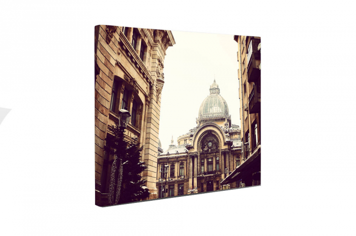 Tablou canvas : Caru' cu Bere [5]