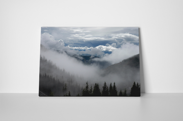 Tablou canvas : Peisaj innorat [2]