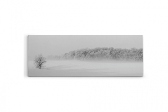 Tablou canvas panoramic - Winter forest [3]