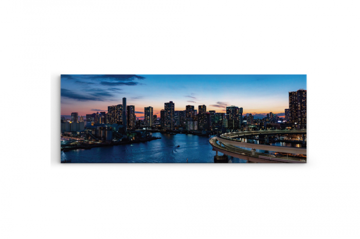 Tablou canvas panoramic - Tokyo [3]