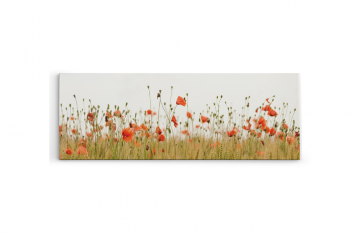 Tablou canvas panoramic - Poppies [3]