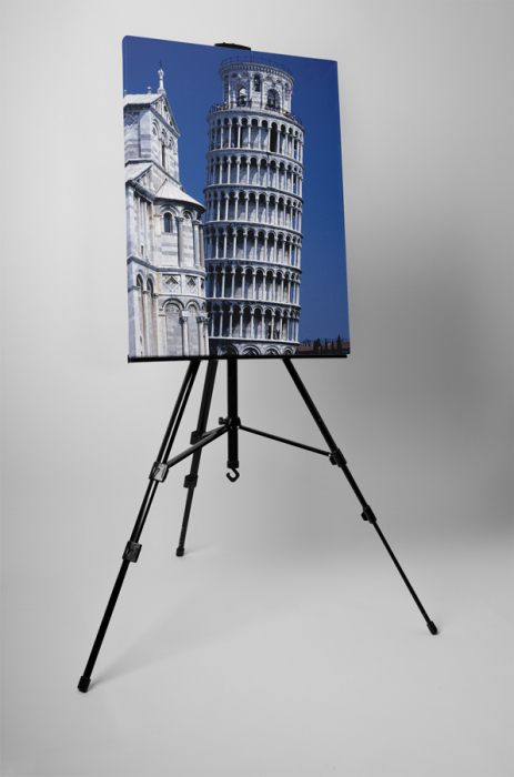 Tablou canvas : Turnul Pisa [3]