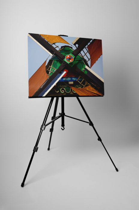 Tablou canvas : Moara colorata [3]