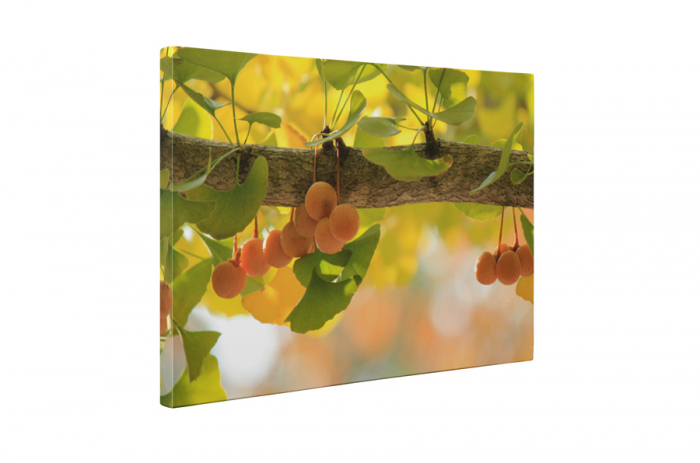 Tablou canvas : Fructe coapte [5]
