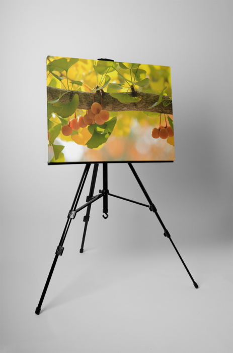 Tablou canvas : Fructe coapte [3]