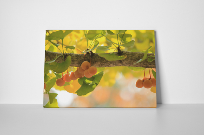 Tablou canvas : Fructe coapte [2]