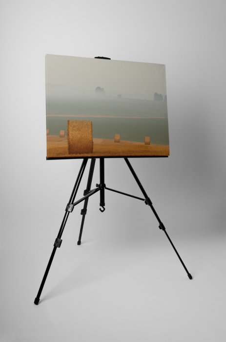 Tablou canvas : Recoltare [3]