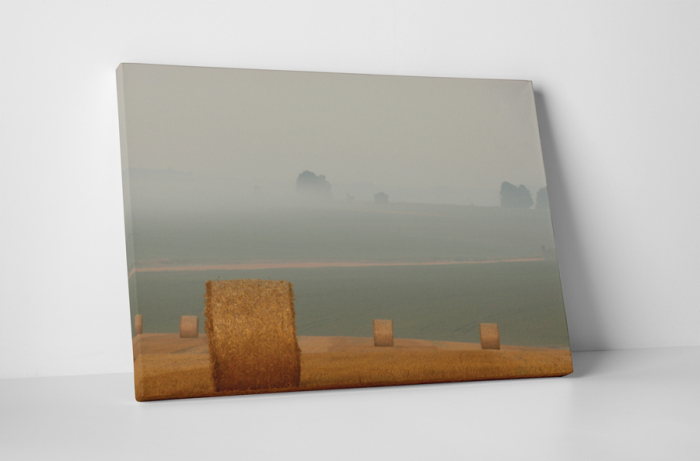 Tablou canvas : Recoltare [1]