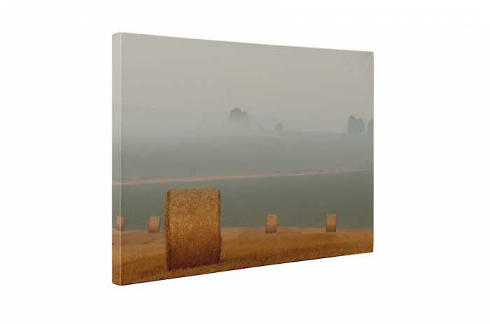 Tablou canvas : Recoltare [5]