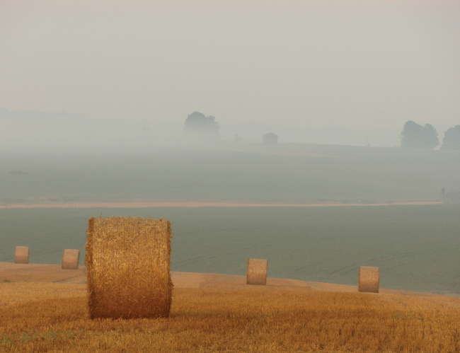 Tablou canvas : Recoltare [4]